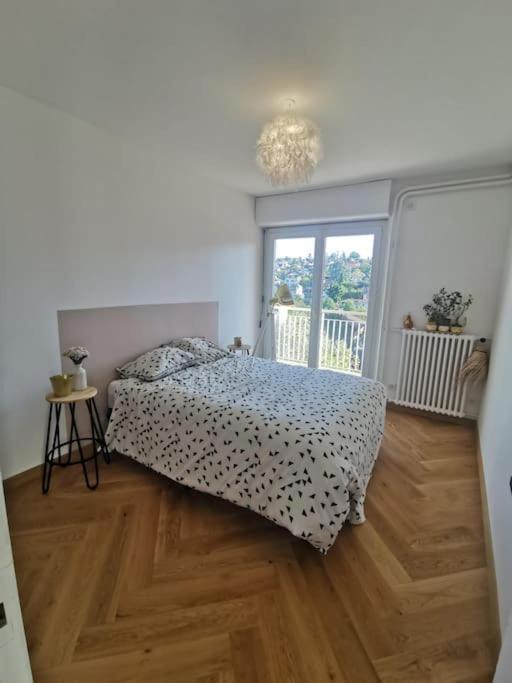 Le Parmelan - Grand Appartement Familial Avec Vue Sur La Montagne 안시 외부 사진
